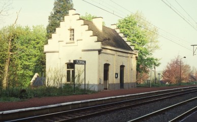 FLORIVAL DIA 84-6294.jpg